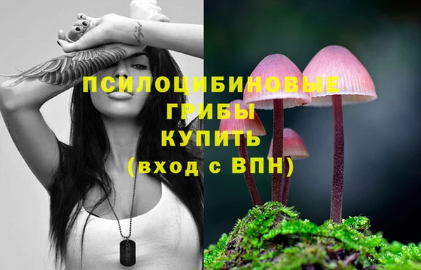 PSILOCYBIN Горнозаводск