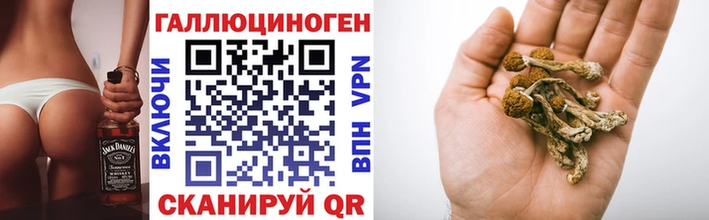 Купить закладки  Козьмодемьянск  Галлюциногенные грибы ЛСД 
